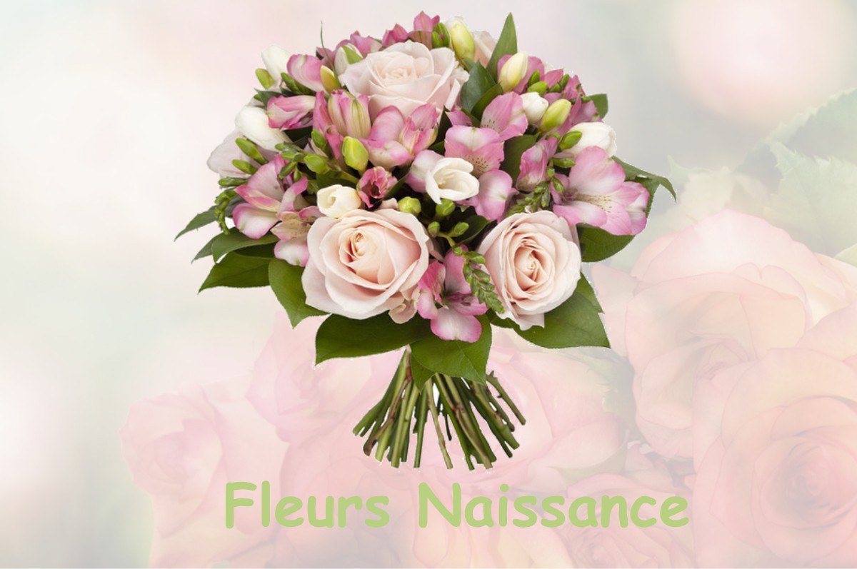 fleurs naissance LA-MADELEINE-SUR-LOING
